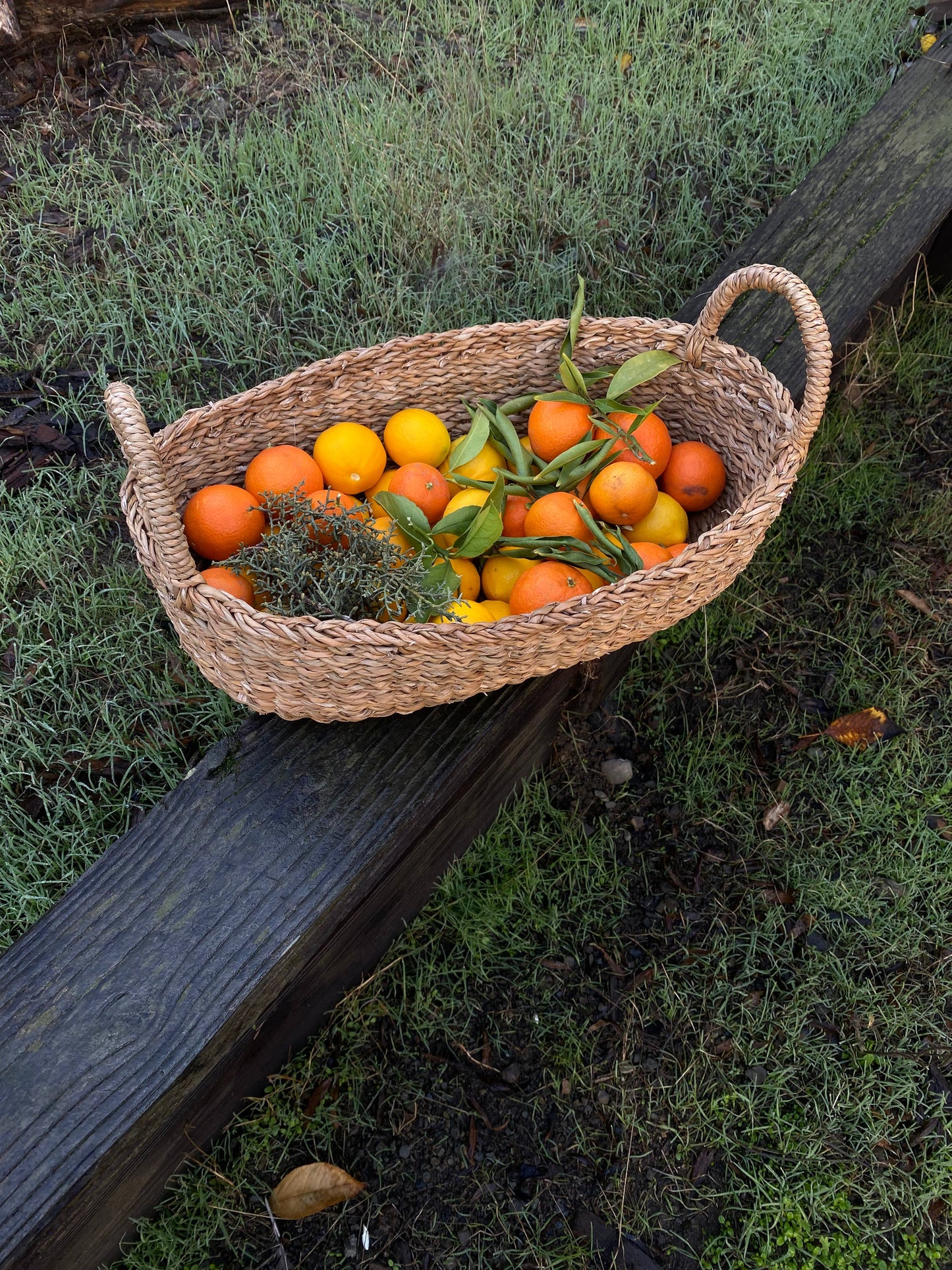 Oval Tray Basket