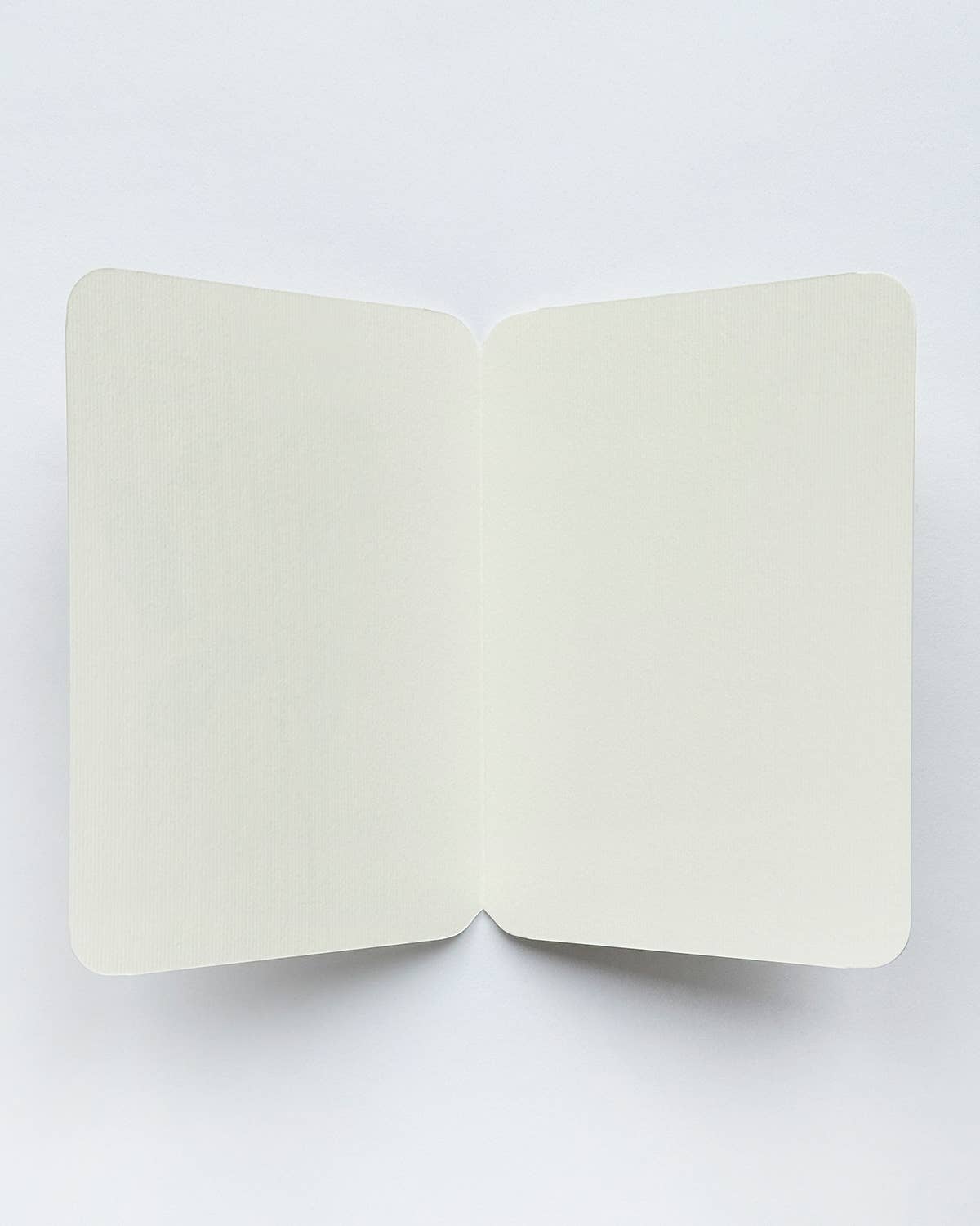 Velvet Bow Greeting Card