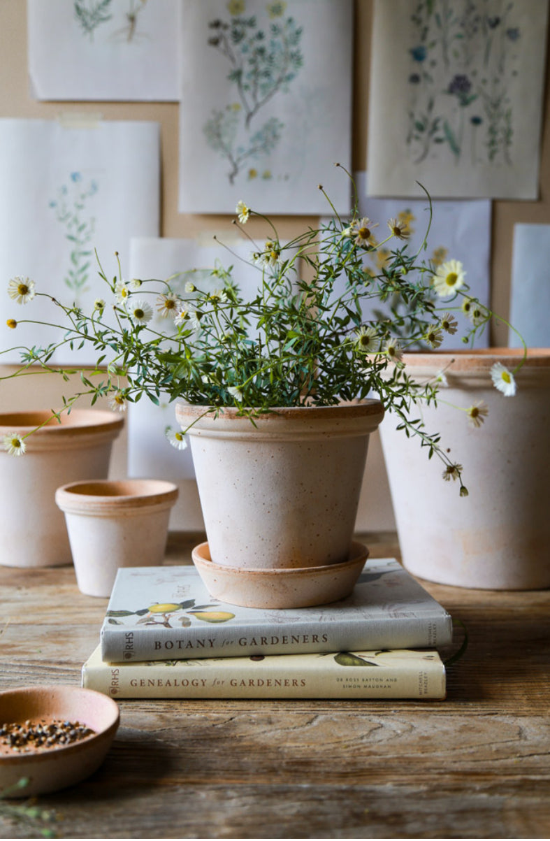 Garden planter - Flora