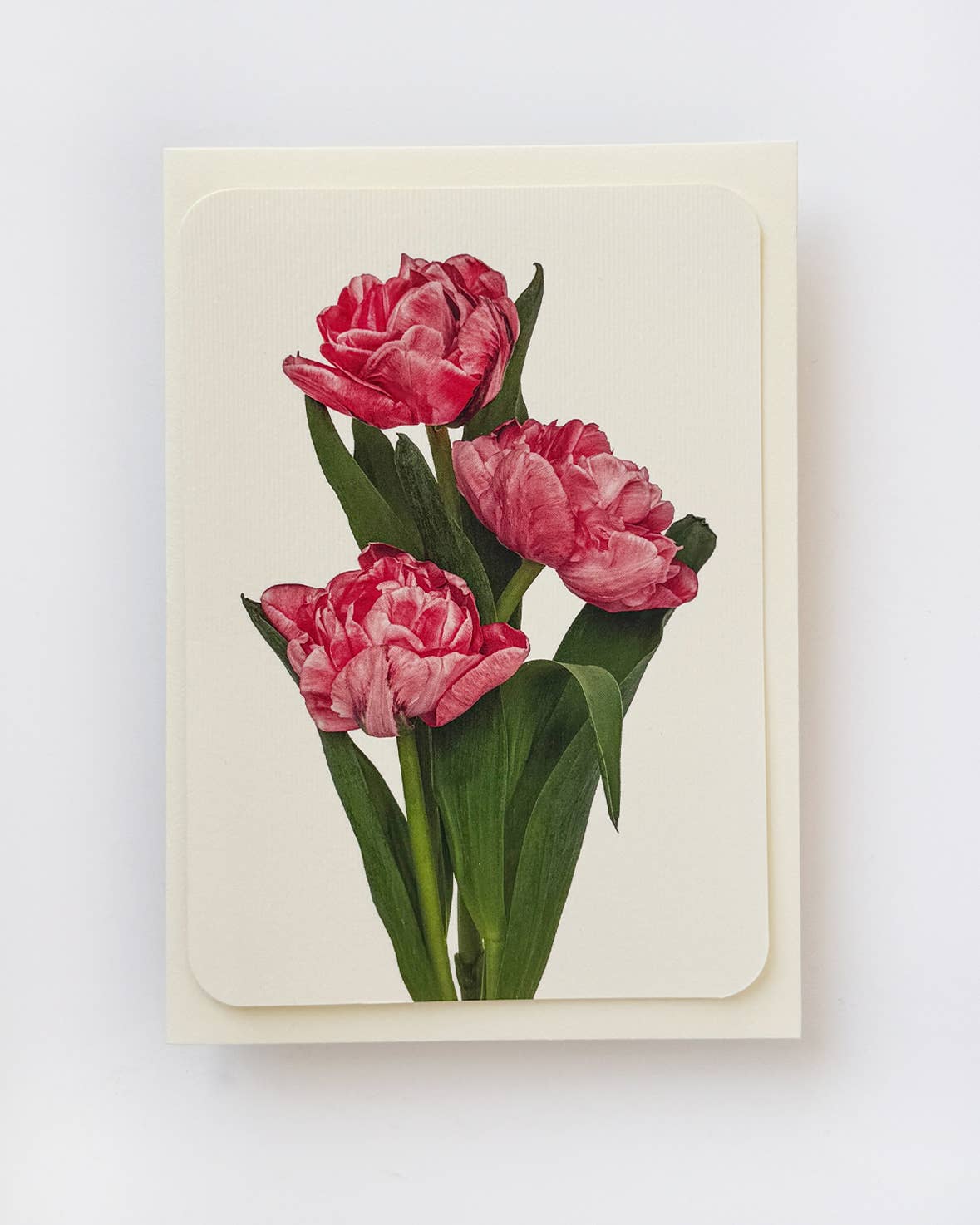 Pink Tulips Greeting Card | Birthday Card | Luxury Cards