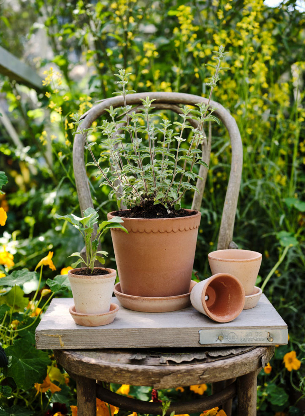Garden planter - Helena