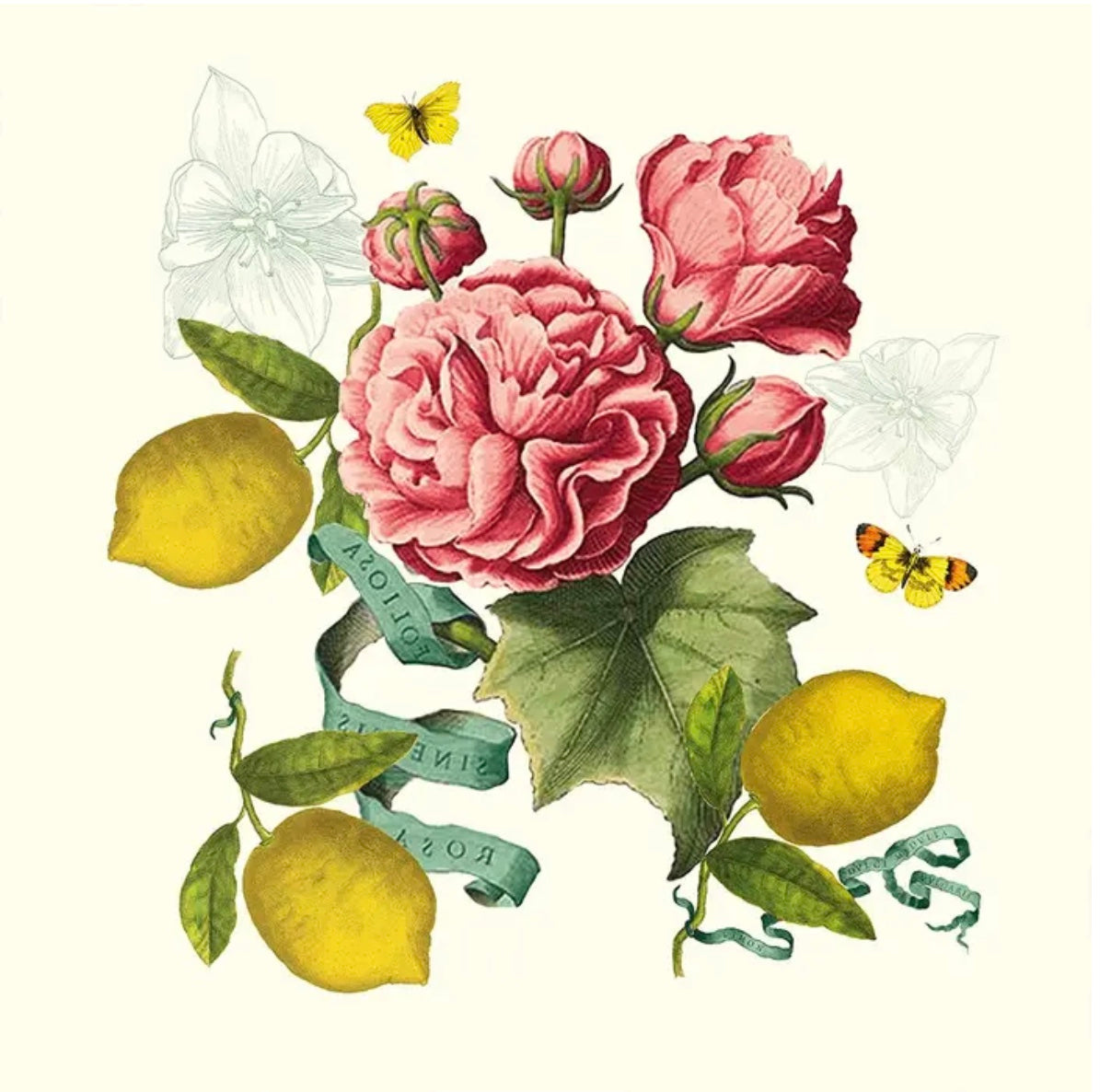 Napkins - Citrons de Menton Romance (set of 4)