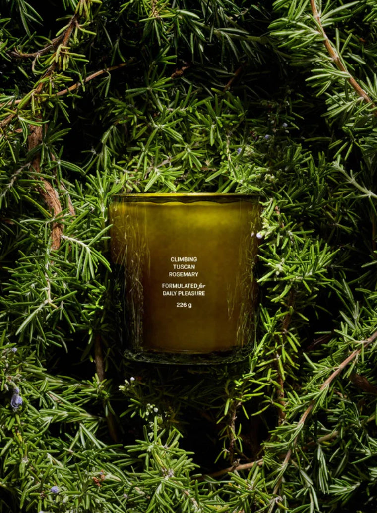 Climbing Tuscan Rosemary Candle