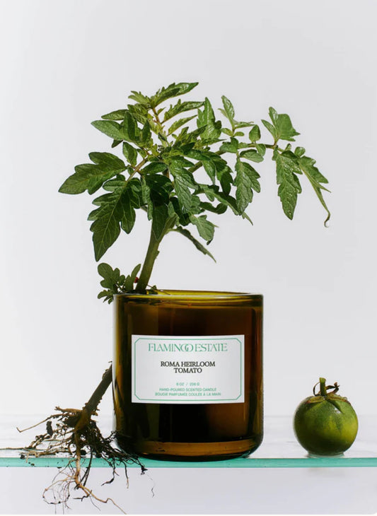 Roma Heirloom Tomato Candle