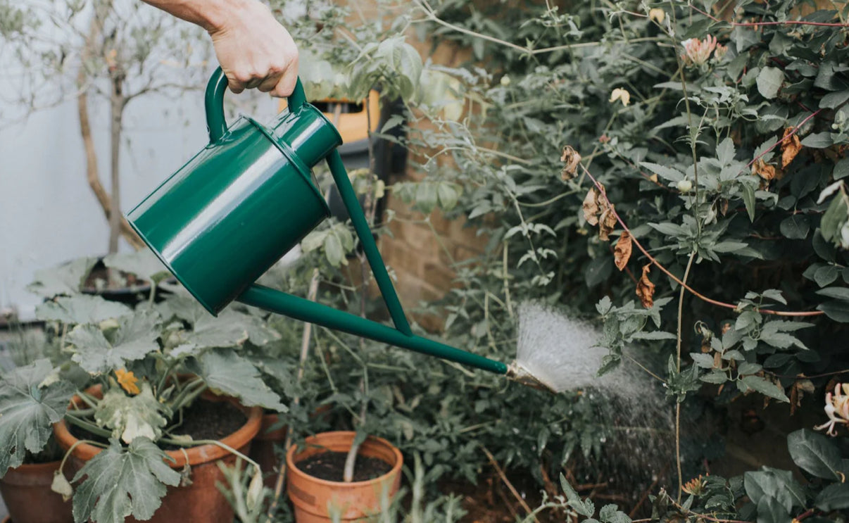The Warley Watering Can