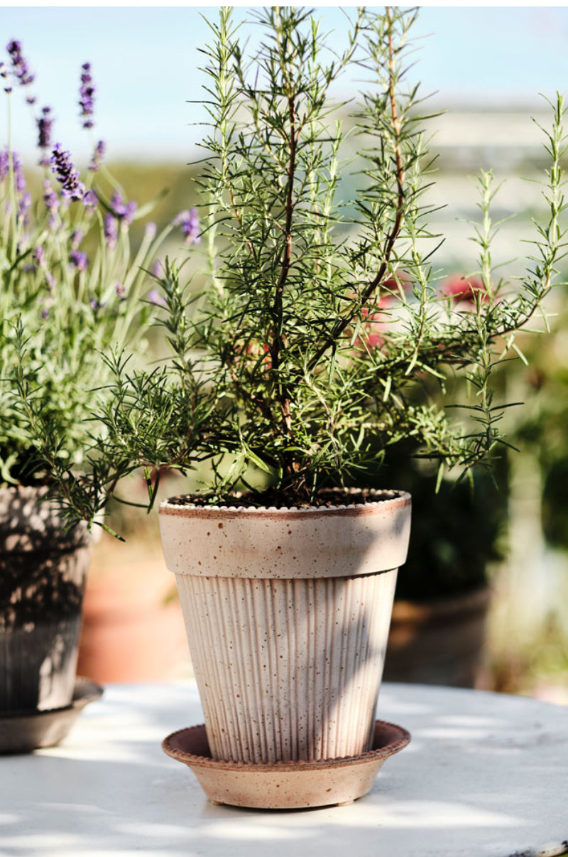 Garden planter - Simona