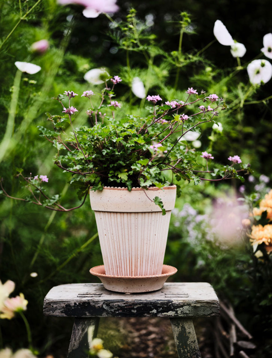 Garden planter - Simona