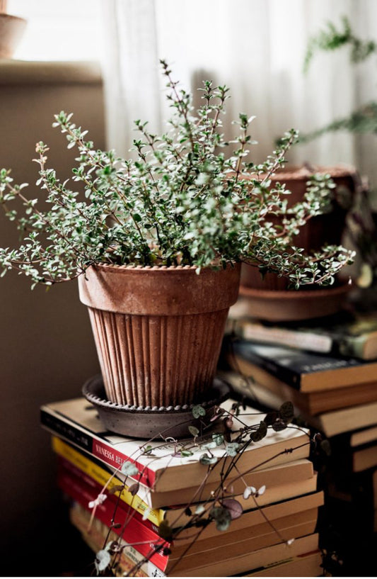 Garden planter - Simona